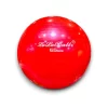 BALÓN PILATES