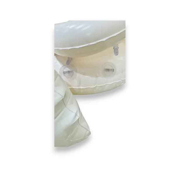 Lancha techo figura cisne