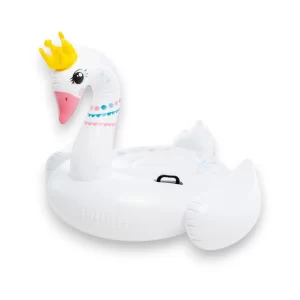 CISNE