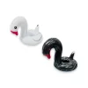 CISNE