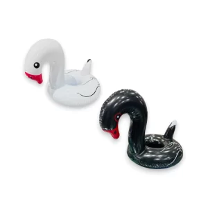 CISNE