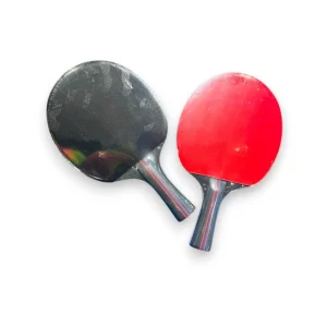 RAQUETA PING - PONG