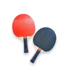 RAQUETA PING - PONG