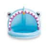 Piscina pez techo