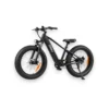 Bicicleta electrica