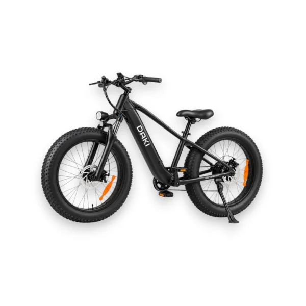 Bicicleta electrica